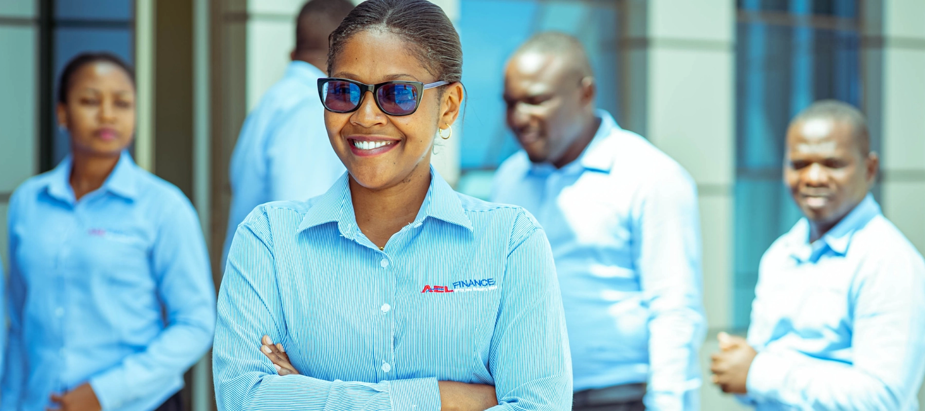 AEL Limited financial planning and investment framework visual